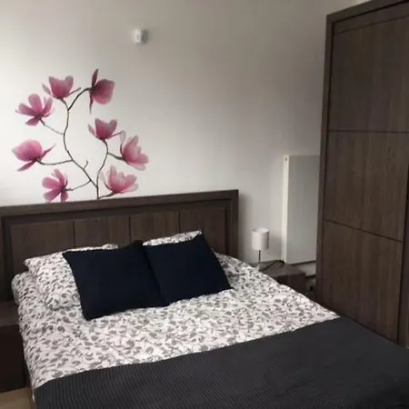 Ferienwohnung T2 Proche Paris Et Gare Tgv Massy Massy  Exterior foto